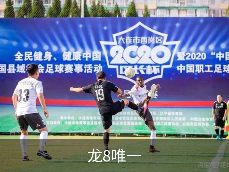 龙8唯一介绍